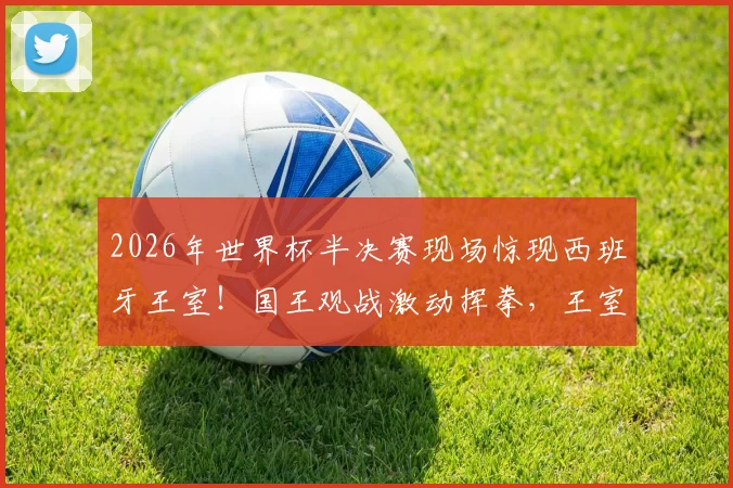 2026年世界杯半决赛现场惊现西班牙王室！国王观战激动挥拳，王室成员助阵成焦点